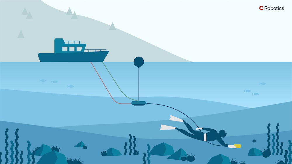 Catch to boat