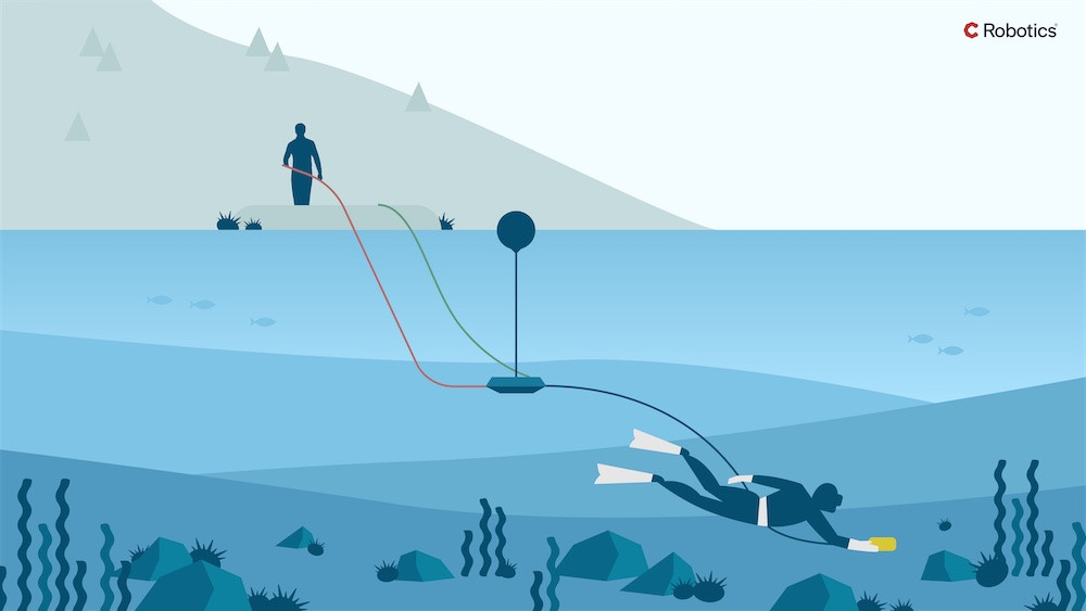 Catch to shore