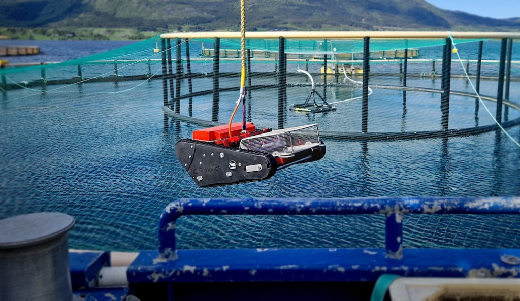 C Bud for removal of dead fish from fish farms.