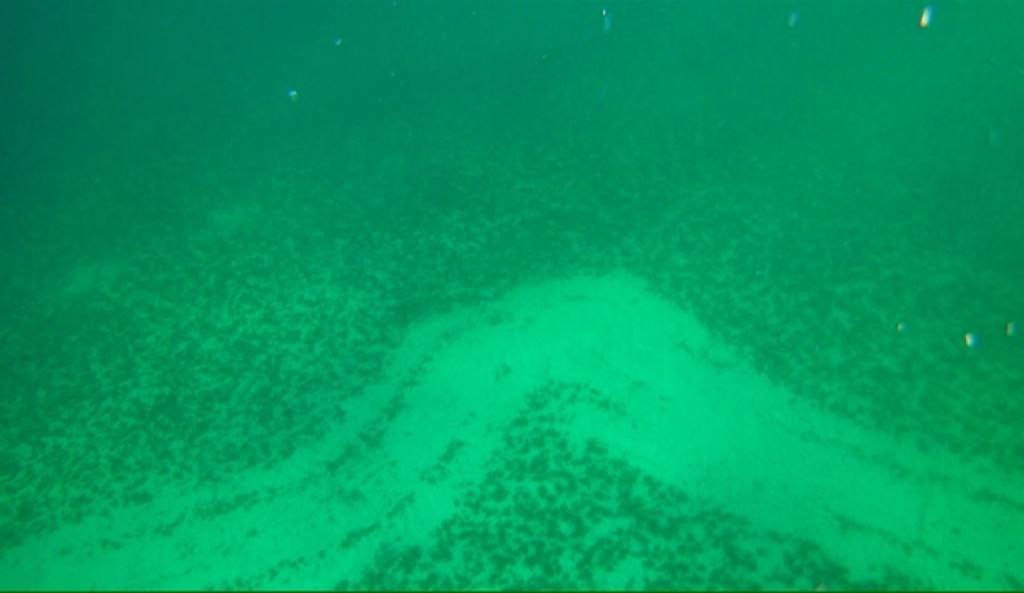 Seabed after passing with the C Bud on “urchin barrents.”